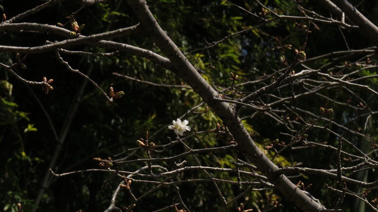 c0097620_11362815.jpg