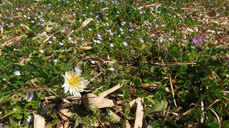 c0097620_11364832.jpg