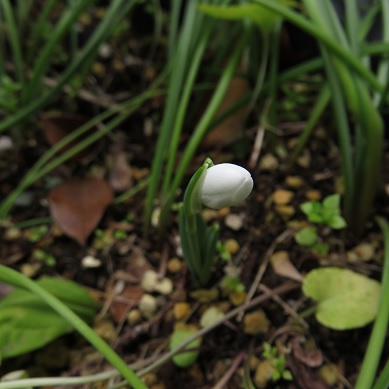 c0097620_2215037.jpg