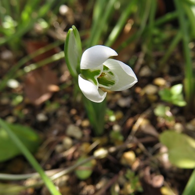c0097620_22153247.jpg