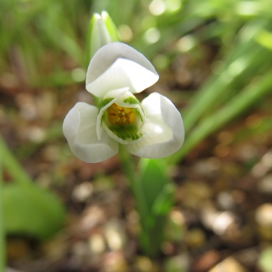 c0097620_22155051.jpg