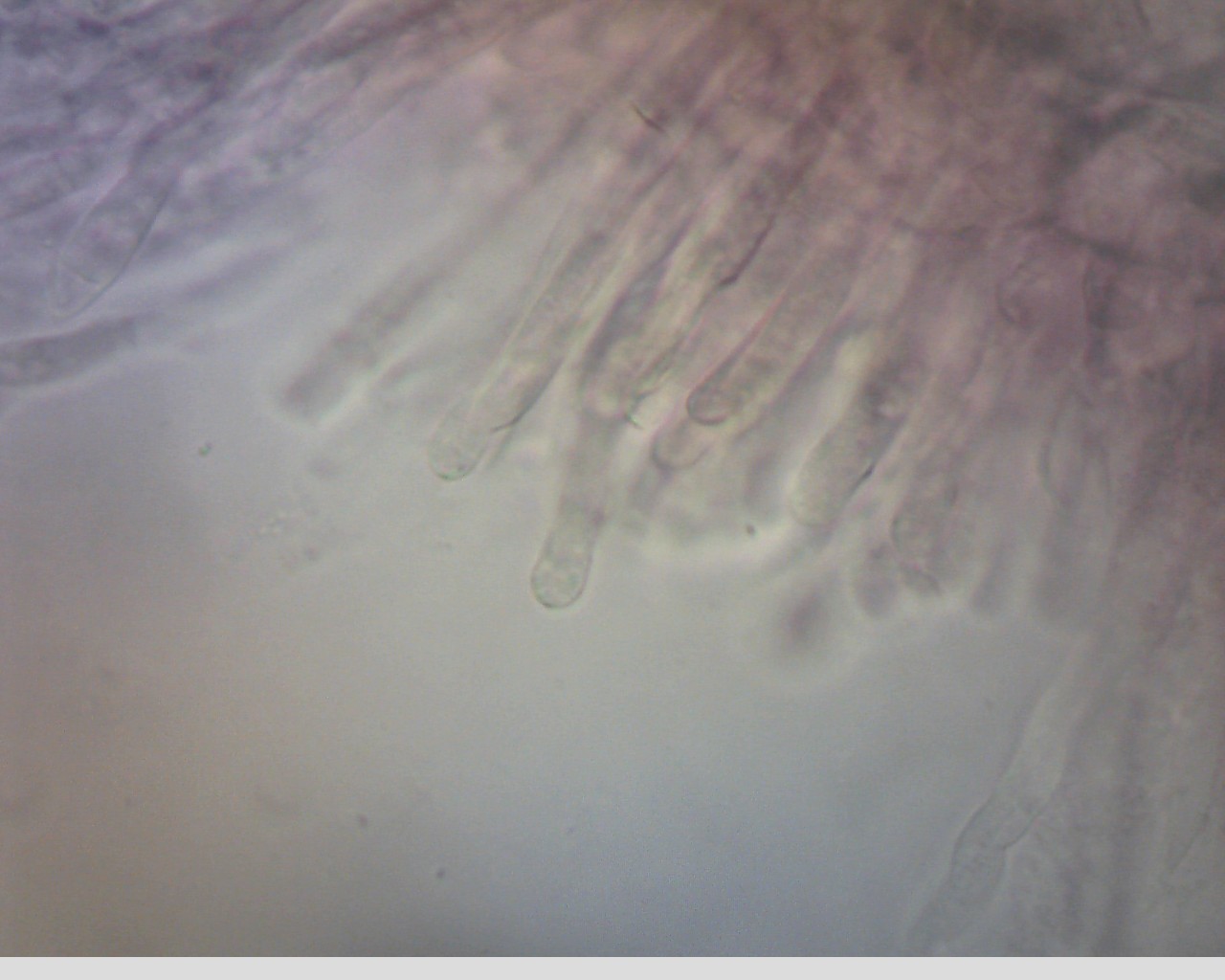 e0352220_14400768.jpg