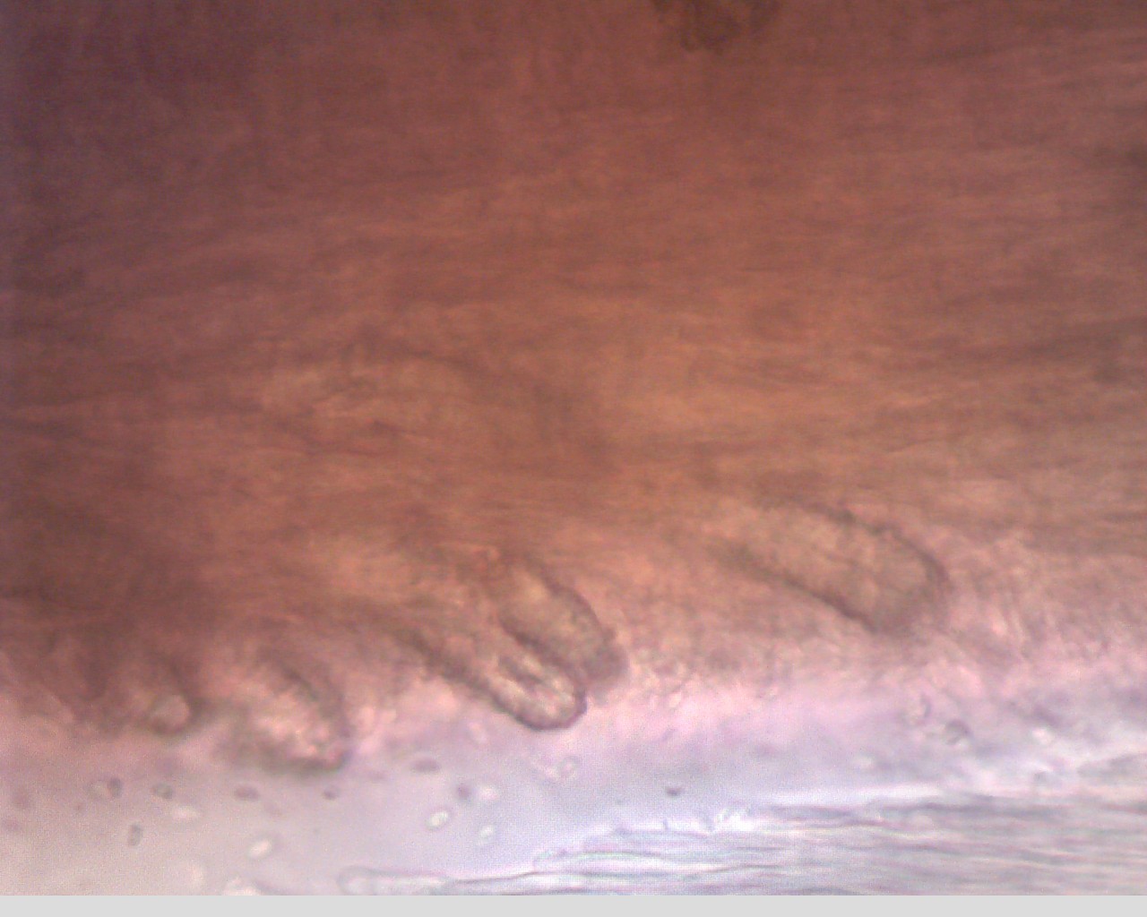 e0352220_14454609.jpg