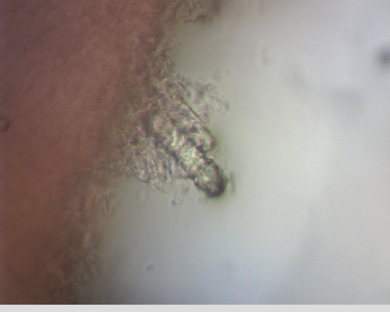 e0352220_14461867.jpg