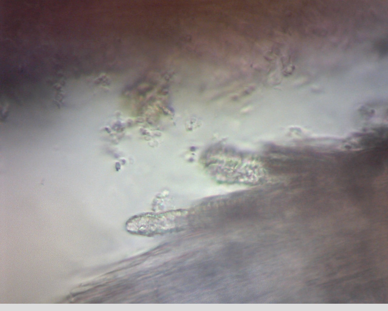e0352220_14465571.jpg
