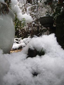 f0166824_21315153.jpg