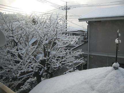 f0166824_2135937.jpg