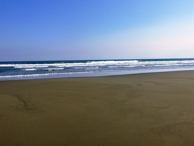 d0137326_12392955.jpg