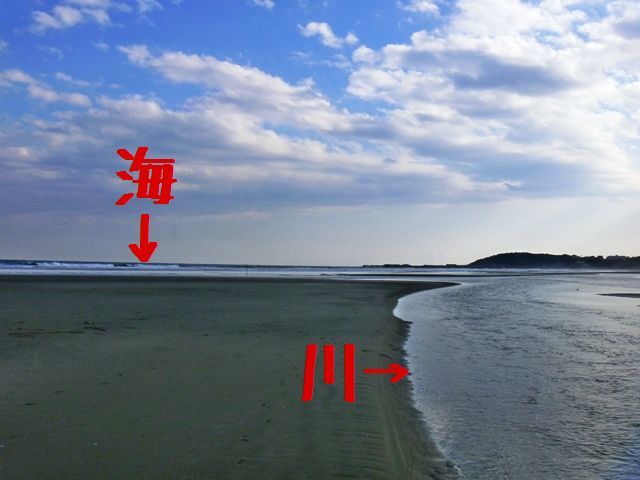 d0137326_12432533.jpg