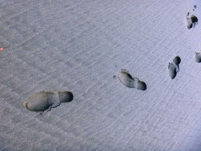 d0137326_12482718.jpg
