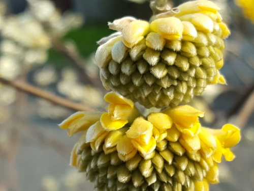 e0016828_13515331.jpg