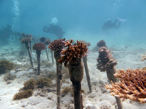 f0014842_16422926.jpg