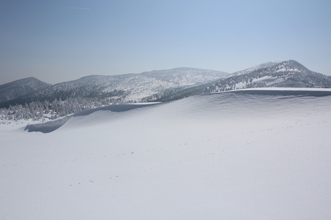 e0239458_21062039.jpg