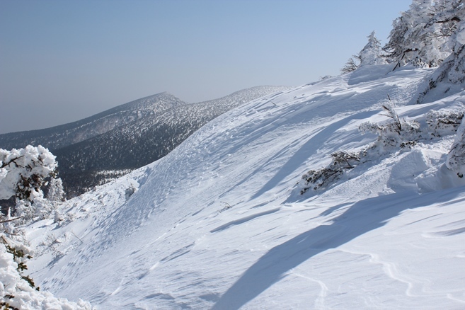 e0239458_21191781.jpg