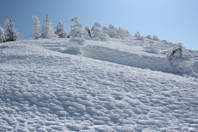 e0239458_22192612.jpg