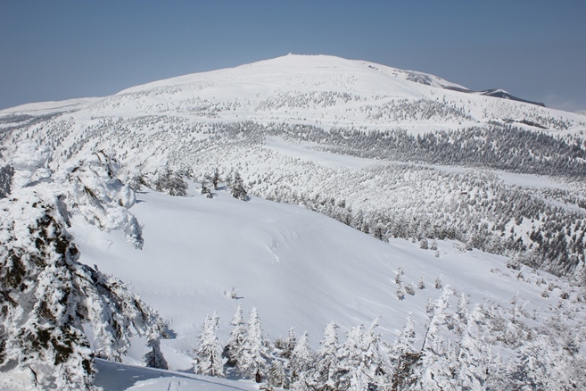 e0239458_22245501.jpg