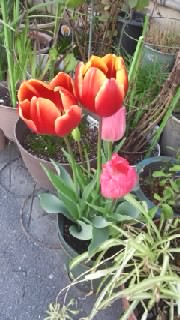 f0200871_021487.jpg
