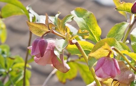 e0264374_20091903.jpg
