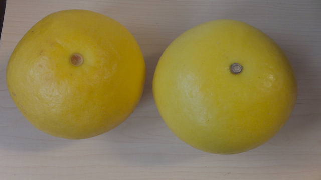 c0022275_13323059.jpg