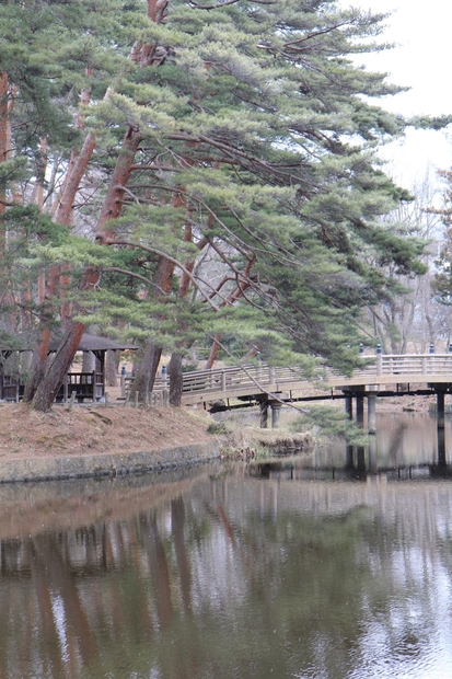 c0283778_1114810.jpg