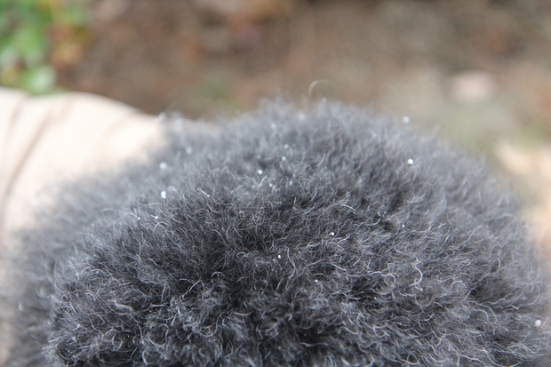 c0283778_1133147.jpg