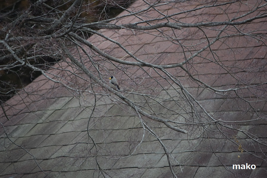 b0032079_0212477.jpg