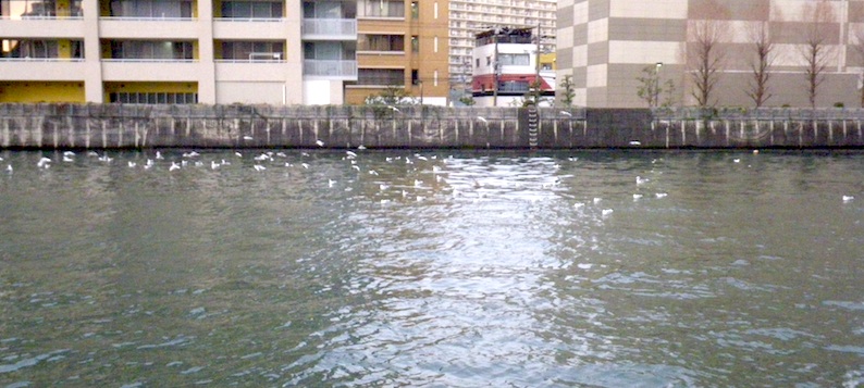 b0057679_91532.jpg
