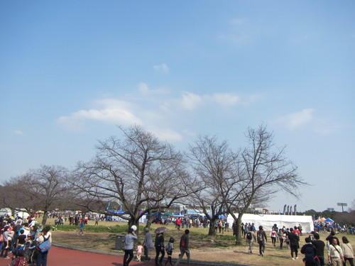a0251786_21102898.jpg