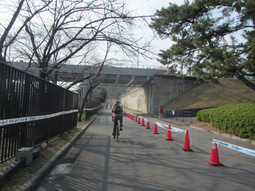 a0251786_21144148.jpg
