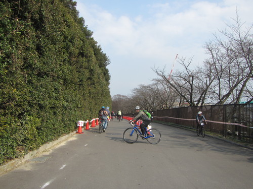 a0251786_21152139.jpg