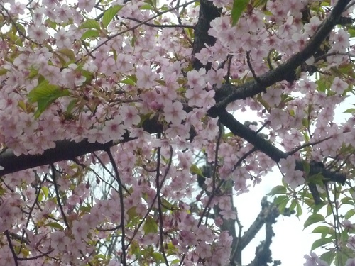 c0123890_2040690.jpg
