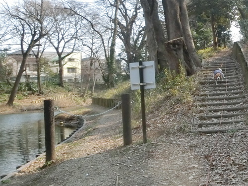a0319693_9573850.jpg