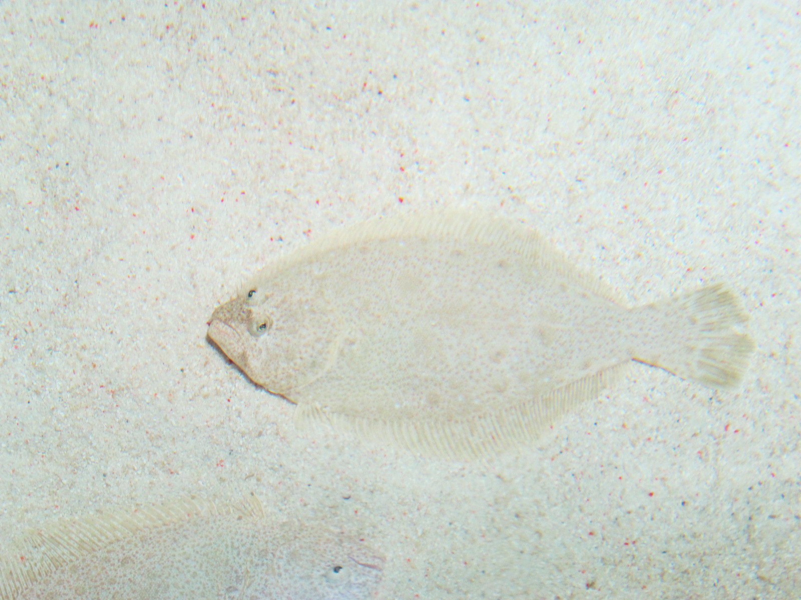 d0122397_17283326.jpg