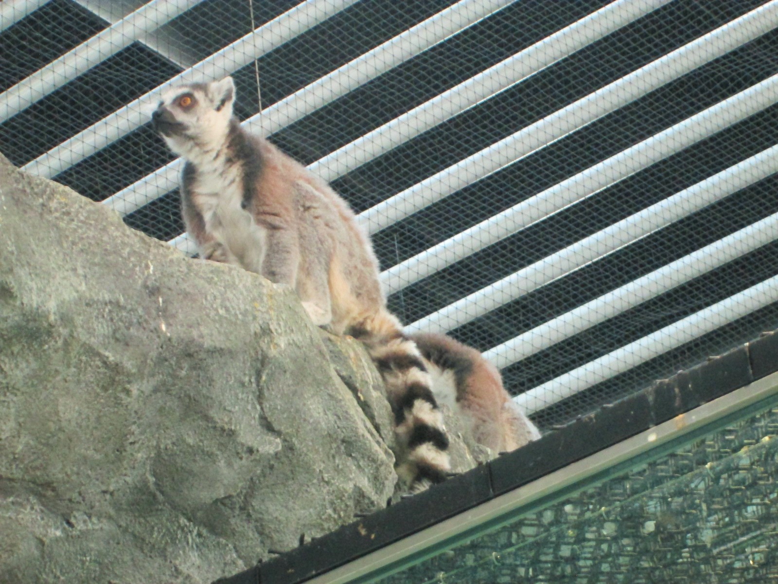 d0122397_1734255.jpg