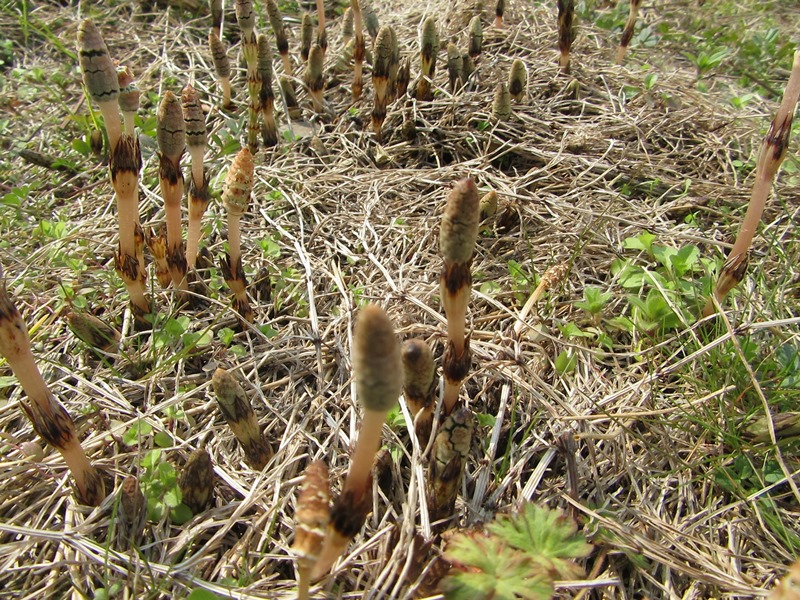 f0231709_8501627.jpg