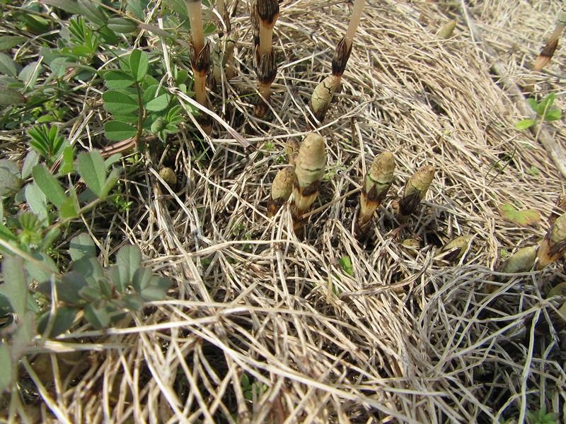 f0231709_8505514.jpg