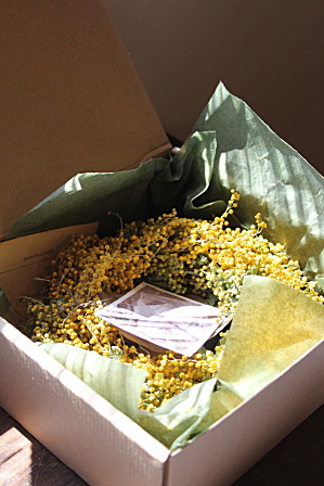 e0348417_0175687.jpg