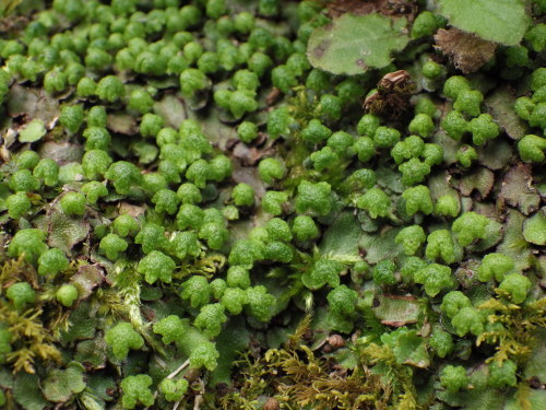 e0352220_16160414.jpg