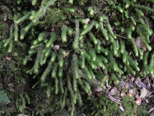 e0352220_16173188.jpg