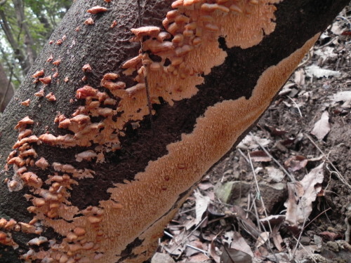 e0352220_16191354.jpg