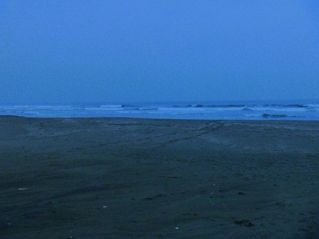 d0137326_23510865.jpg