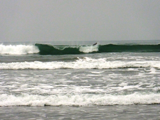 d0137326_23511723.jpg