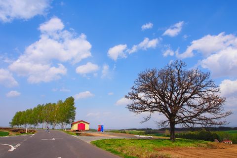 b0042334_13352910.jpg