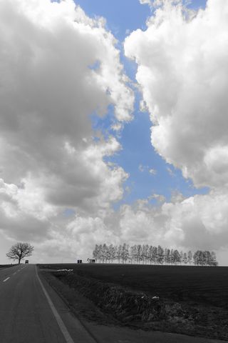 b0042334_13353761.jpg