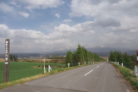b0042334_13361766.jpg