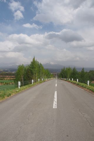 b0042334_13362861.jpg