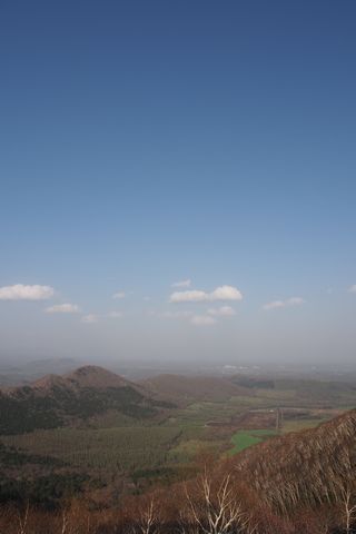 b0042334_13364674.jpg