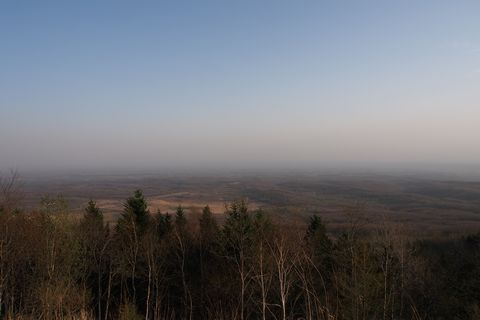 b0042334_13365516.jpg