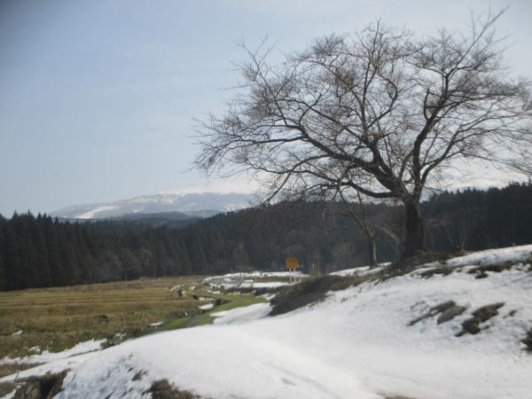 d0154344_13513999.jpg