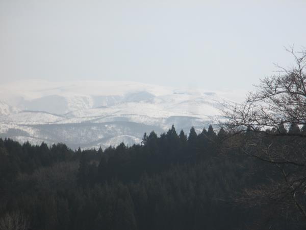 d0154344_1352919.jpg